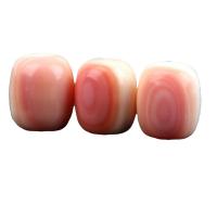 Perles en coquille naturel, Reine Conch Shell, Seau, DIY & normes différentes pour le choix, Vendu par PC