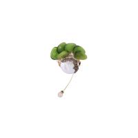 Freshwater Pearl Brooch, Brass, with Freshwater Pearl & Green Quartz, gold color plated, fashion jewelry & for woman, two different colored [