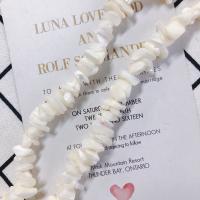 Perles en coquillage blanc naturel, coquille, Irrégulière, DIY, blanc Vendu par sac[