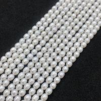 Perles d'eau douce de culture de riz, perle, DIY, blanc, 3.5-4mm Environ 38-40 cm, Vendu par brin
