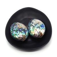 Abalone Shell Pendants, Oval, DIY, multi-colored, 30x45- 