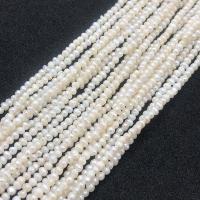 Naturel d'eau douce perles, perle d'eau douce cultivée, DIY, blanc, 2.5-3mm Environ 38-40 cm, Vendu par brin