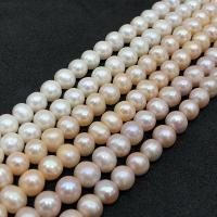Natürliche Süßwasser, lose Perlen, rund, DIY, keine, 8-9mm, Länge:ca. 38-40 cm, verkauft von Strang