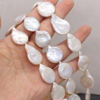 Perle de culture d'eau douce forme goutte, perle d'eau douce cultivée, Irrégulière, DIY x22- Environ 36 cm, Vendu par brin