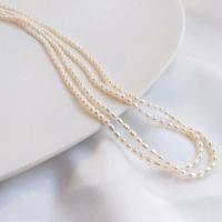 Rice Cultured Freshwater Pearl Beads, Natural & DIY  white Approx 38 cm [