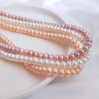 Natural Freshwater Pearl Loose Beads, Rondelle, DIY Approx 38 cm [
