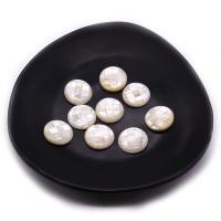 Cabochon de coquille blanche, Plat rond, Patchwork & DIY, blanc, 15mm, Vendu par PC[