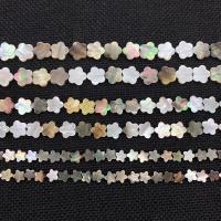 Perles de coquille de mer, coquillage, fleur, DIY & normes différentes pour le choix, multicolore Environ 38 cm, Vendu par brin[