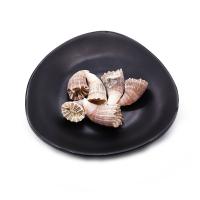 Perles en coquille naturel, DIY & aucun trou, couleurs mélangées Vendu par PC