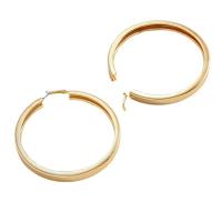 Zinc Alloy Hoop Earring, Round, plated, fashion jewelry & for woman 