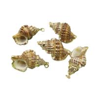 Brass Shell Pendants, with Brass, Conch, gold color plated, DIY, mixed colors, 23x37- [