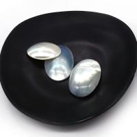 Seashell Cabochon, Natural Seashell, Oval, DIY, multi-colored, 20x30- [