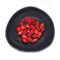 Single Gemstone Beads, Synthetic Coral, Leaf, Carved, DIY, red [