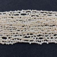 Rice Cultured Freshwater Pearl Beads, DIY white Approx 38 cm [