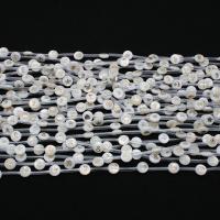 Perles en coquillage blanc naturel, coquille blanche, Plat rond, impression, DIY & modèles différents pour le choix, plus de couleurs à choisir, 8mm, Environ Vendu par brin[