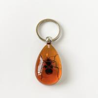 Resin Key Chain, with 304 Stainless Steel, epoxy gel Approx 