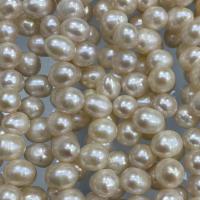 Natural Freshwater Pearl Loose Beads, DIY, white, 8-8.5mm cm 