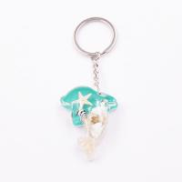 Resin Key Chain, with 304 Stainless Steel, Dolphin, epoxy gel, 52mmu00d752mmu00d716mm, Approx 