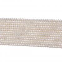 Пресноводные свободные жемчуг, Пресноводные жемчуги, Круглая, естественный & DIY, белый, 3.5-4mm, длина:36-38 см, продается Strand