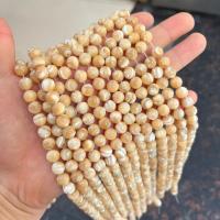 Gemischte Edelstein Perlen, Turbanschnecken, poliert, DIY & verschiedene Größen vorhanden, verkauft von Strang