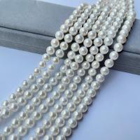 Peties perles de la mer du sud, Shell Pearl, poli, DIY & normes différentes pour le choix, blanc, Vendu par brin[
