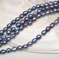 Perles nacres baroques de culture d'eau douce , perle d'eau douce cultivée, DIY, noire, 10-11mm Environ 35-37 cm, Vendu par brin[