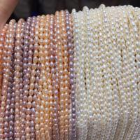 Rice Cultured Freshwater Pearl Beads, Natural & DIY 2.5-3mm cm [