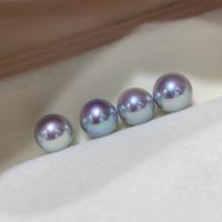 Natural Akoya Cultured Pearl Beads, Akoya Cultured Pearls, Round, DIY & no hole, grey 
