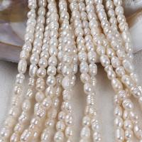 Natural Freshwater Pearl Loose Beads, DIY, white, 6-7mm Approx 36 cm 