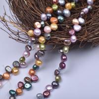 Naturel d'eau douce perles, perle d'eau douce cultivée, DIY, multicolore, 7-8mm Environ 38-40 cm, Vendu par brin