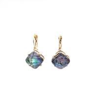 Abalone Shell Earring, Zinc Alloy, with Abalone Shell, plated, fashion jewelry & for woman [