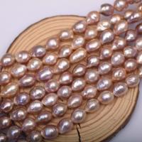Perles nacres baroques de culture d'eau douce , perle d'eau douce cultivée, DIY, violet, 11-12mm Environ 39-40 cm, Vendu par brin[
