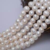 Naturel d'eau douce perles, perle d'eau douce cultivée, DIY, blanc, 9-10mm Environ 2.5mm Environ 35 cm, Vendu par brin
