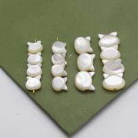 Natural Freshwater Shell Beads, Cat, Carved, DIY [