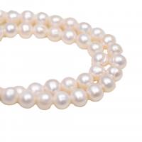 Potato Cultured Freshwater Pearl Beads, Natural & DIY, white, 10-11mm Approx 2.5mm cm 