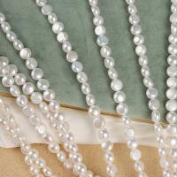 Naturel d'eau douce perles, perle d'eau douce cultivée, DIY, blanc, 8mm Environ 39 cm, Vendu par brin