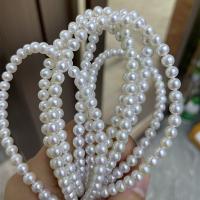 Naturel d'eau douce perles, perle d'eau douce cultivée, Rond, DIY, blanc, 5mm Environ 40 cm, Vendu par brin[