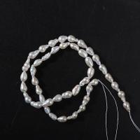 Perles nacres baroques de culture d'eau douce , perle d'eau douce cultivée, DIY, blanc, 5-6mm Environ 39 cm, Vendu par brin[