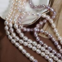 Potato Cultured Freshwater Pearl Beads, DIY 7mm Approx 36-37 cm 