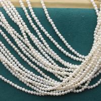 Potato Cultured Freshwater Pearl Beads, DIY, white, 2.5-3mm Approx 36 cm 