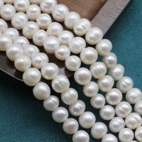 Potato Cultured Freshwater Pearl Beads, DIY, white, 8-9mm Approx 38 cm 