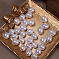Half Drilled Cultured Freshwater Pearl Beads, Rice, DIY & half-drilled, white, 9.5-10mm 