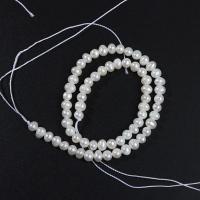 Naturel d'eau douce perles, perle d'eau douce cultivée, DIY, blanc, 5.5-6mm Environ 35 cm, Vendu par brin