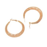 Iron Hoop Earring, fashion jewelry & for woman, golden 