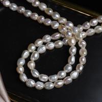 Perles nacres baroques de culture d'eau douce , perle d'eau douce cultivée, DIY, blanc, 8mm Environ 36 cm, Vendu par brin[