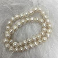 Potato Cultured Freshwater Pearl Beads, DIY, white, 7-8mm Approx 37 cm 
