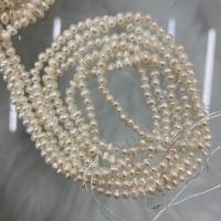 Potato Cultured Freshwater Pearl Beads, DIY, white, 2-3mm Approx 37 cm [