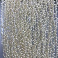Perles nacres baroques de culture d'eau douce , perle d'eau douce cultivée, DIY, blanc, 3-3.5mm Environ 37 cm, Vendu par brin[