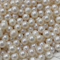 Perles nacres sans trou de culture d'eau douce, perle d'eau douce cultivée, Légèrement rond, DIY & aucun trou, blanc, 8-9mm, Vendu par PC[