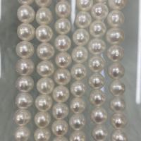 Perle comme Pommes de terre perles d'eau douce, perle d'eau douce cultivée, pomme de terre, DIY, blanc, 9-10mm Environ 37 cm, Vendu par brin[